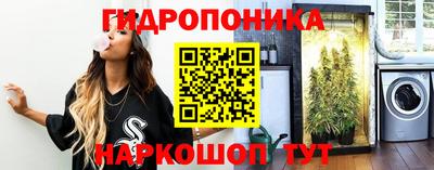 СК Краснодар