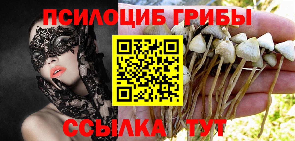 Корсаков  Псилоцибиновые грибы Psilocybe  Псилоцибиновые грибы GOLDEN TEACHER  Вход с VPN 