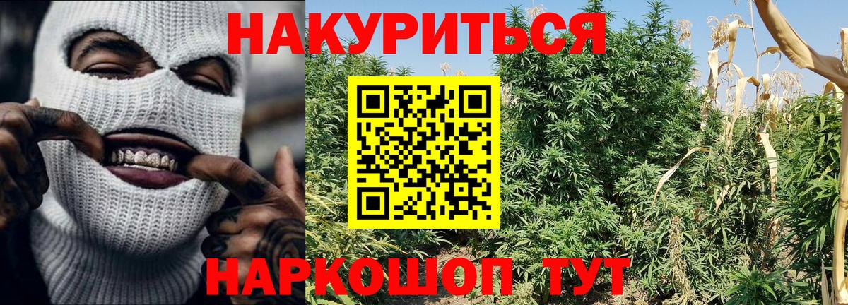 Канабис OG Kush Корсаков